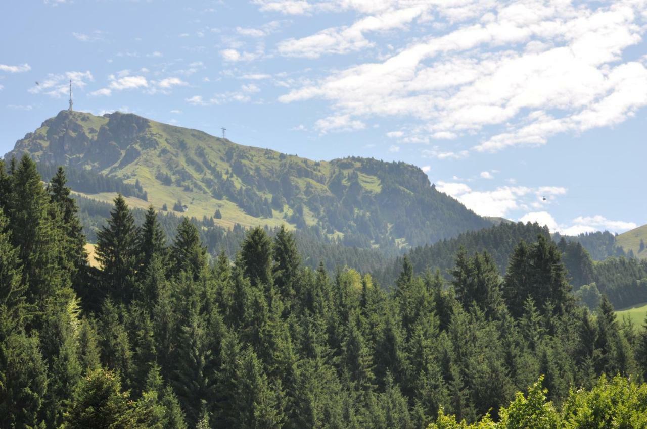 Appartement Kitzbuehel Mit Dachterrasse Zewnętrze zdjęcie